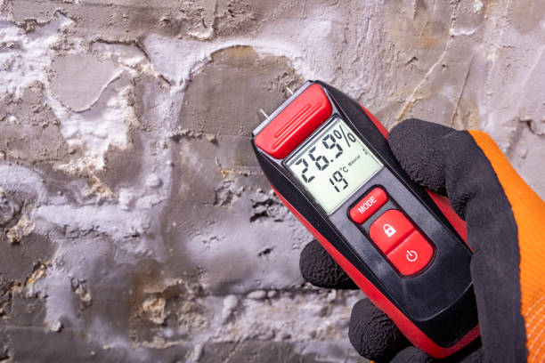 Best Mold Removal Near Me  in Riverton, WY