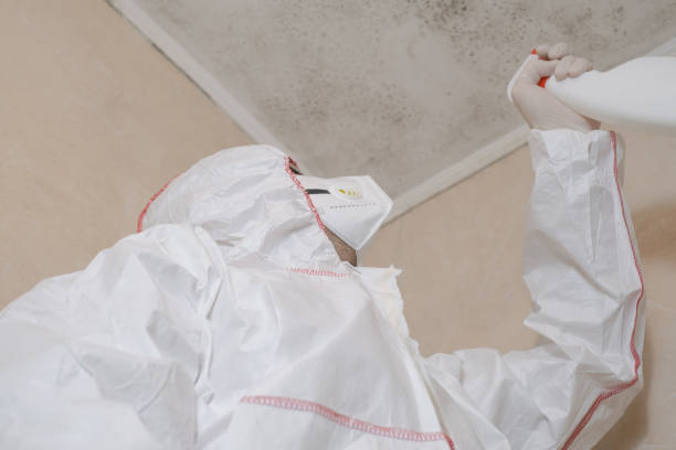 Best Best Mold Removal Companies  in Riverton, WY