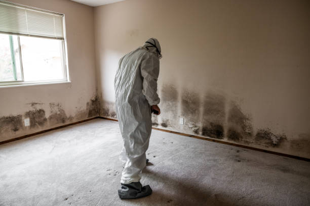 Best Commercial Mold Removal  in Riverton, WY