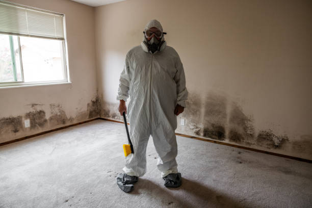 Best Affordable Mold Removal  in Riverton, WY